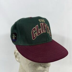 Vintage SnapBack Hat Cap‎ The Cliffs Green Purple Made In USA Pro Line